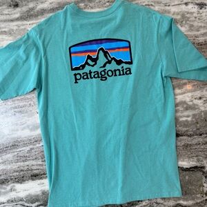 Patagonia Men's Teal Short Sleeve Graphic Tee